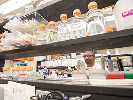 K-State advances biomanufacturing research through interdisciplinary hiring