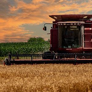 K-State researchers uncover keys to stemming wheat production losses due to drought K-State researchers uncover keys to stemming wheat production losses due to drought