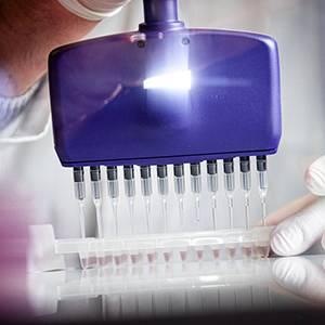 College of Veterinary Medicine launches NIH-funded, multidisciplinary Biomedical Core Facilities College of Veterinary Medicine launches NIH-funded, multidisciplinary Biomedical Core Facilities