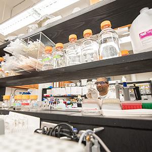 K-State advances biomanufacturing research through interdisciplinary hiring K-State advances biomanufacturing research through interdisciplinary hiring